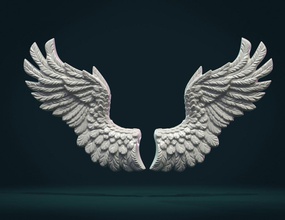 wings relief ii 3d print model in sculpture 3dexport feather angel bird eagle air fly haven 3d print model - Mito3D