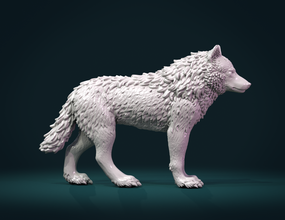 wolf iii carnivora mammal fir canine beast statue figurine miniature sculpture 3d print model - Mito3D