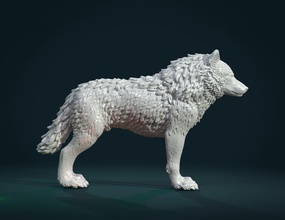 lobo iv carnivora de los mamíferos fir canino bestia la estatua estatuilla en miniatura escultura 3d print model - Mito3D