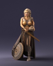 woman warrior costume 0067 3d print ready scan model polygon 3dprint human male realistic posed character people miniatures man child style success outfit fashion 3d print model - Mito3D