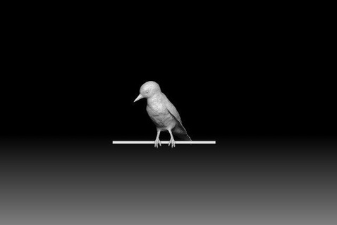 picchio 3d Stampa modello scultura uccello uccelli animale 3d print model - Mito3D