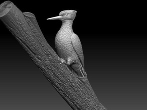 picchio 3d stampa modello in scultura 3dexport gazza corvo uccello uccelli tit ciuffolotto passero storno pappagallo usignolo statua miniature figurine 3d print model - Mito3D