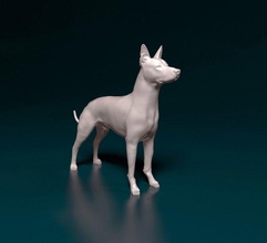 xoloitzcuintle 3d stampa modello in figurine 3dexport xolo cane animale messicano printready stampabile stl obj 3d print model - Mito3D