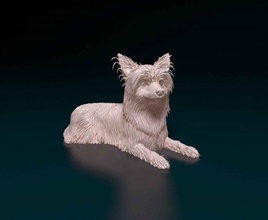 yorkshire terrier 3d impression modèle in figurines 3dexport chien animal printready stl obj imprimable 3d print model - Mito3D