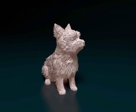 yorkshire terrier 3d print model in figurines 3dexport dog animal printready printable stl obj 3d print model - Mito3D