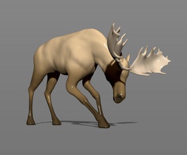 young moose 3d print model in animals 3dexport animal artiodactyls beast coniferous creature elk figurines forest gross heavy mammal massive miniatures north shaggy taiga ungulate wood wooly 3d print model - Mito3D