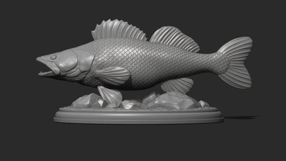 zander base animals pikeperch trophy fish fishing sculpture art statue decor printable miniatures pendants cnc relief jewelry 3d print model - Mito3D