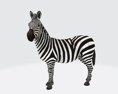 zebra pronto Stampa scultura cavallo sbarcare mammiferi pianure animali zoo africano savana realistico natura realistic animals horse animal 3d safari Africa fauna selvatica nero bianca 3d print model - Mito3D