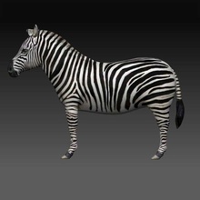 zebra 3d modello in 3dexport 3d print model - Mito3D