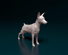 zwerg pinscher 3d stampa modello in figurine 3dexport cane animale printready stampabile stl obj miniatura 3d print model - Mito3D