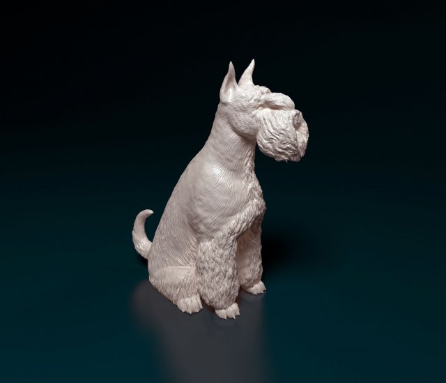 zwergschnauzer Sitzung Hund Tier druckbar stl obj zwerg Mini Miniatur Schnauzer 3D print model - Mito3D