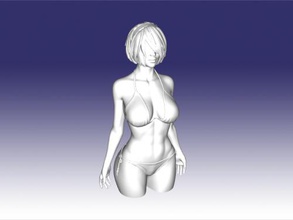 2b torso toys games 3d print model - Mito3D