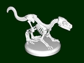 raptor esqueleto brinquedos animais 3d print model - Mito3D