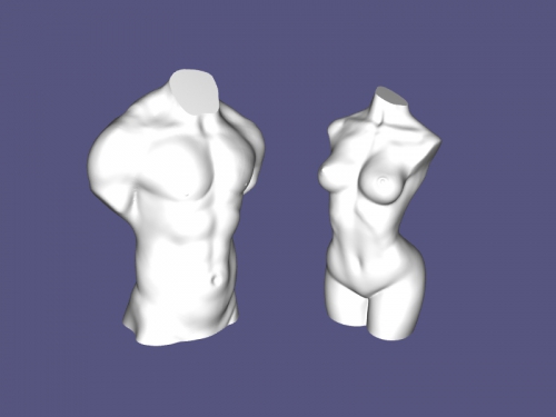 2 torsos art sculpture 3D print model - Mito3D