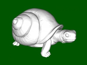 turtle snail toys animals 3d print model - Mito3D