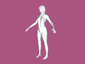 female anatomy obj toys people 3d print model - Mito3D