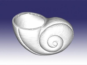 shell pot home interior 3d print model - Mito3D