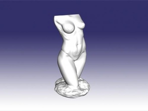 torso of snello donna arte scultura 3d print model - Mito3D
