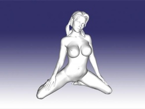 cowgirl pose free 3d model - download stl file Toys People 3d print model - Mito3D