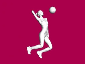 volleyball dienen obj spielzeuge 3d print model - Mito3D