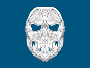 armor mask a skull fashion accessories 3d print model - Mito3D