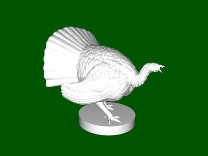 dangerous turkey 3d print model - Mito3D