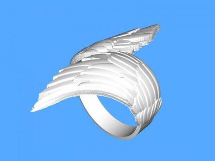 ring wings 3d print model - Mito3D