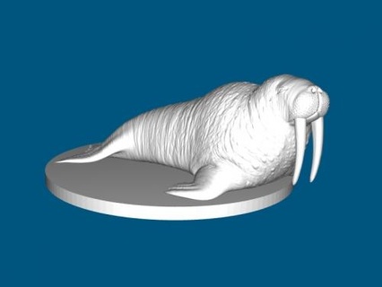 walrus Toys Animals 3d print model - Mito3D