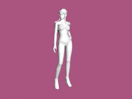 amazone lingerie jouets 3d print model - Mito3D