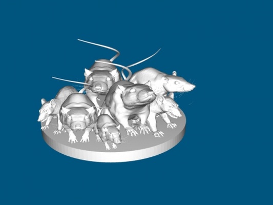 bouquet of rats jouets animaux 3d print model - Mito3D