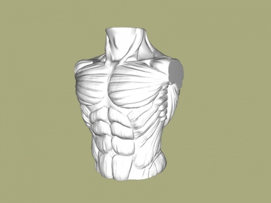 erkek kaslar sanat heykel 3d print model - Mito3D