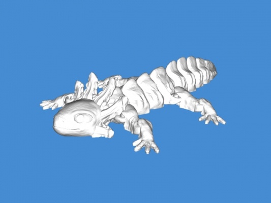 flexível axolotl brinquedos animais 3d print model - Mito3D