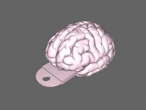 cerebro llavero gratis modelo 3d descargar archivo stl moda Accesorios 3d print model - Mito3D