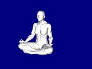 fit yoga toys people 3d print model - Mito3D