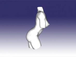 beauty body art sculpture 3d print model - Mito3D