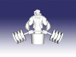 weightlifting home accessories 3d print model - Mito3D