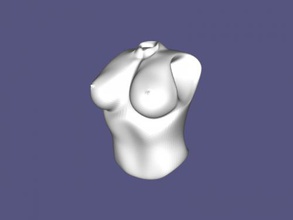 female breast art sculpture 3d print model - Mito3D
