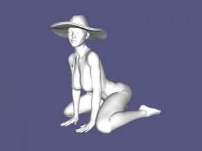 woman hat free 3d model - download stl file Toys People 3d print model - Mito3D