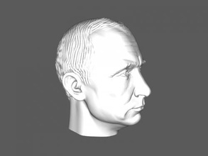 putin's head free 3d model - download stl file Art Sculpture 3d print model - Mito3D