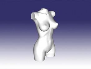 sencillo torso gratis 3d modelo descargar stl expediente Arte escultura 3d print model - Mito3D