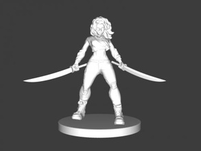 wicked woman free 3d model - download stl file Toys People 3d print model - Mito3D