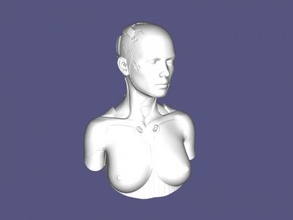 robot busto gratis 3d modelo descargar stl expediente Arte escultura 3d print model - Mito3D
