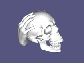 skull hands free 3d model - download stl file Art Sculpture 3d print model - Mito3D