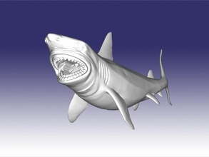 big shark free 3d model - download stl file Toys Animals 3d print model - Mito3D