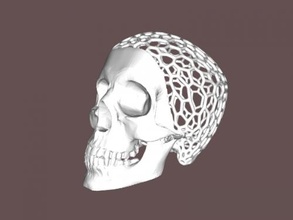 skull in voronoi style art sculpture 3d print model - Mito3D