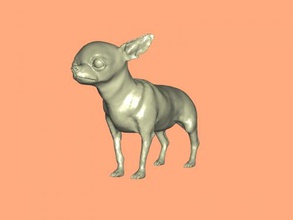 adulto chihuahua obj brinquedos animais 3d print model - Mito3D