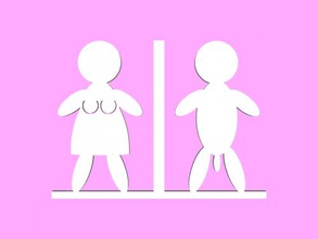 adult toilet signs home accessories 3d print model - Mito3D