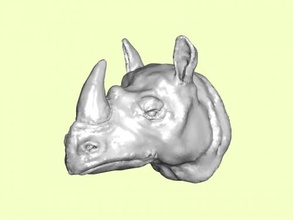 african rhino-Kopf Kostenlose 3d-Modell - download obj-Datei Kunst Skulptur Kopf riesige Tier 3d print model - Mito3D