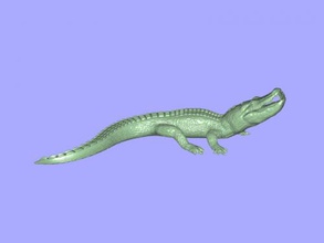 alligatore preda gratuita modello 3d - scaricare il file stl I giocattoli Animali piccolo affamato coccodrillo 3d print model - Mito3D