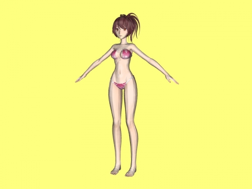 anime bikini obj spielzeuge cartoons 3D print model - Mito3D